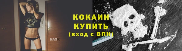 дмт Пересвет