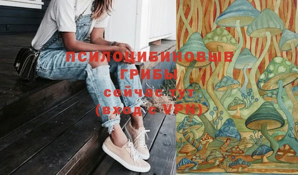 амф Белокуриха