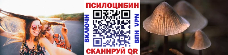 Галлюциногенные грибы Magic Shrooms  blacksprut ссылка  Верхний Тагил 